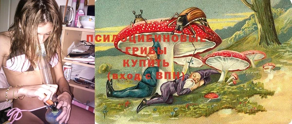 синтетический гашиш Алексин
