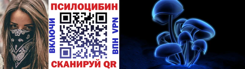 дарк нет какой сайт  Бикин  Галлюциногенные грибы GOLDEN TEACHER 